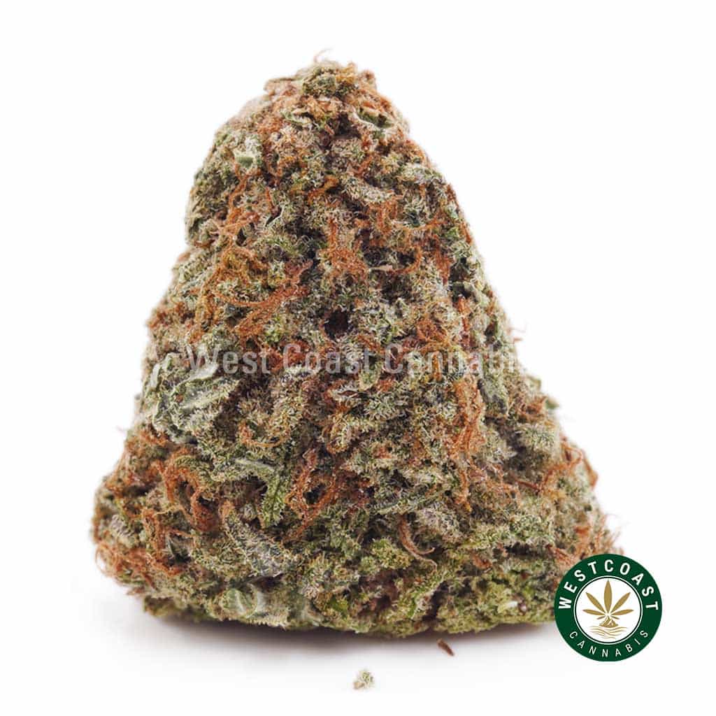 Gushers AAA - West Coast Cannabis Gushers AAA - West Coast Cannabis