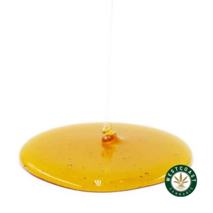 Honey Oil - Pink Wagyu (Hybrid) - West Coast Cannabis