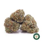 Jungle Mintz AAAA (Popcorn Nugs) - West Coast Cannabis