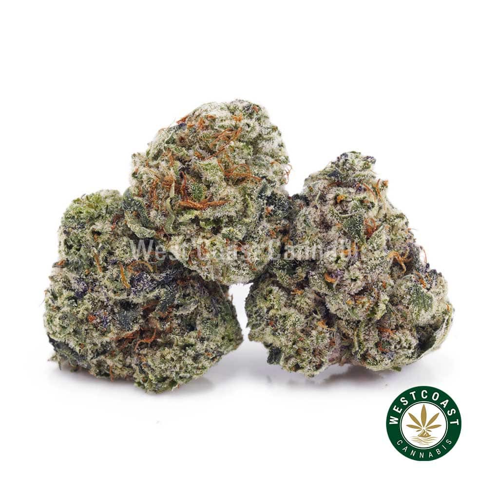 NYC Cheesecake AAAA (Popcorn Nugs) - West Coast Cannabis NYC Cheesecake AAAA (Popcorn Nugs) - West Coast Cannabis