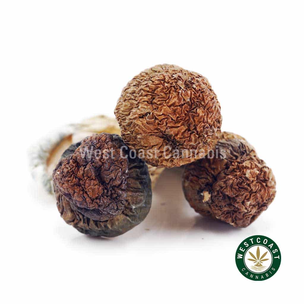 Shrooms - Penis Envy #6 - West Coast Cannabis Shrooms - Penis Envy #6 - West Coast Cannabis
