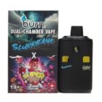 Burn Extracts – Dual Chamber Disposable Vape – Slurricane + Super Runtz (3+3 Gram)