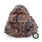 Afghan Skunk AAA