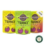Amazeballs Edibles – Trance Gummies – 840mg THC - Image 4