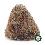 Animal Cookies AAA
