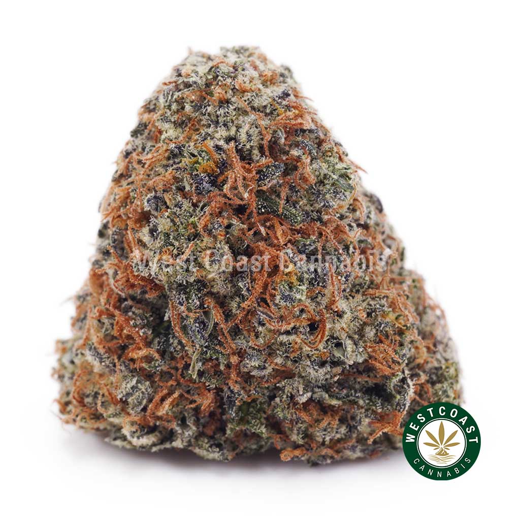 Animal Cookies AAA - Image 1