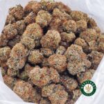 Animal Cookies AAA - Image 3