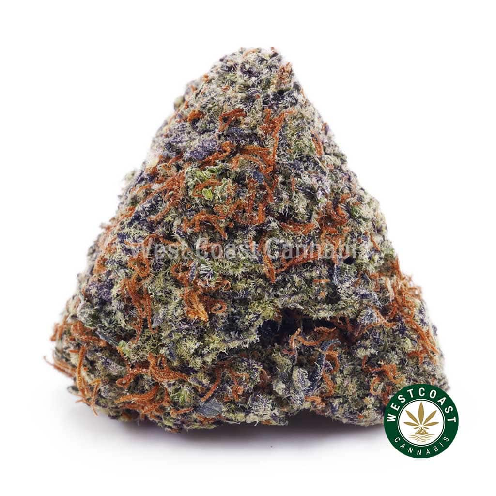 Blackberry Fritter AAAA - Image 1