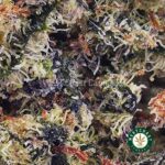 Blueberry Icewreck AAAA - Image 2