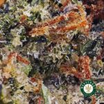 Bubba Kush AAA - Image 2