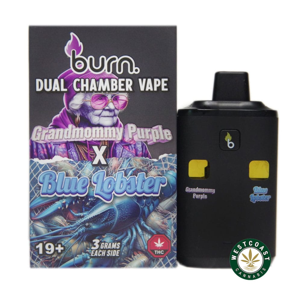 Burn Extracts – Dual Chamber Disposable Vape – Grandmommy Purple + Blue Lobster (3+3 Gram) - Image 1