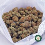 Crazy Glue AA - Image 3