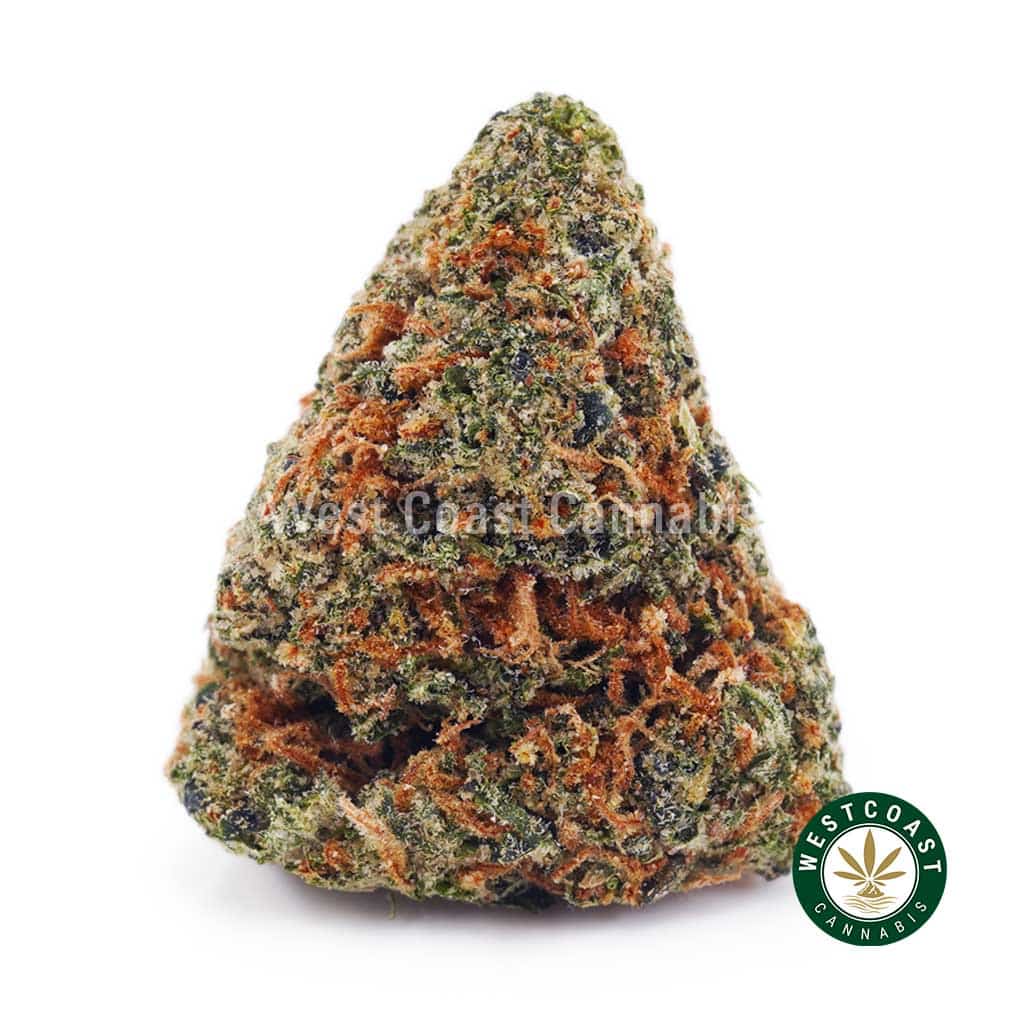 Crazy Glue AA - Image 1
