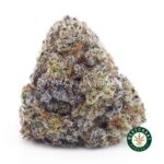 Double OG AAA
