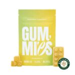 Euphoria Cannabis – Pineapple Gummies 500mg THC