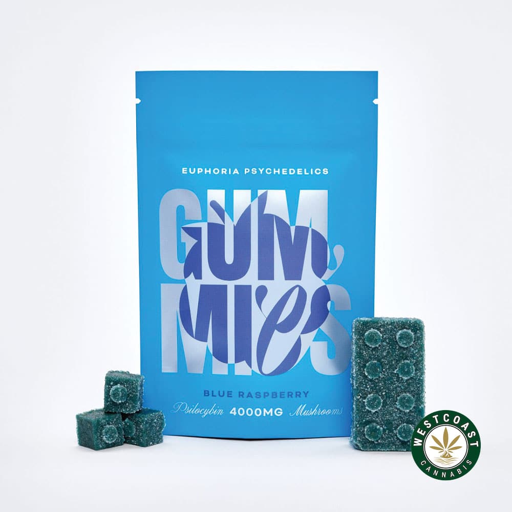 Euphoria Psychedelics – Blue Raspberry 4000mg - Image 1