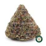 Frosted Gumbo Kush AAAA