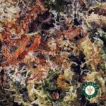 Frosted Gumbo Kush AAAA - Image 2