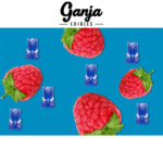 Ganja Edibles – Ganja Bears 150mg THC - Image 4