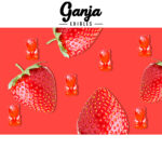 Ganja Edibles – Ganja Bears 150mg THC - Image 7