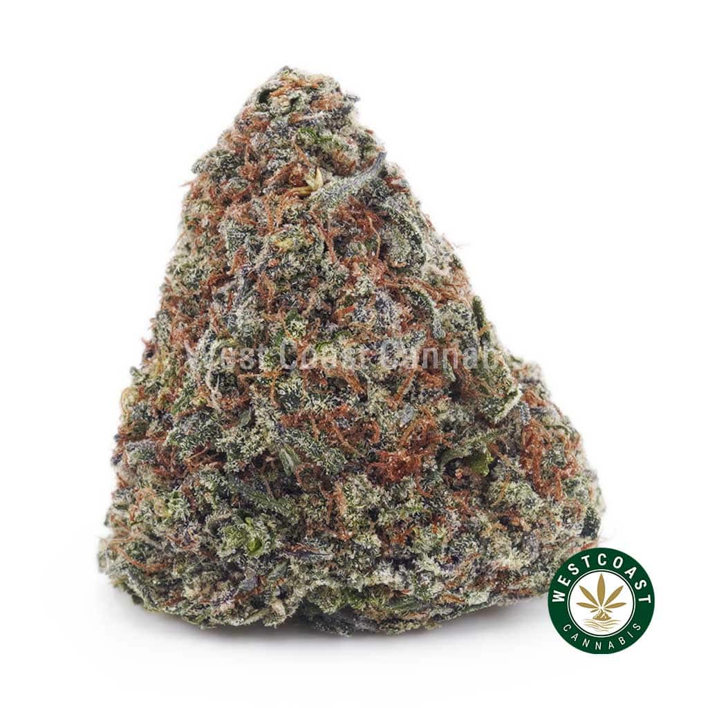 Gary Payton AAAA - Image 1