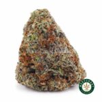 Ghost OG AA
