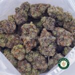 Hawaiian Pink Punch AAAA+ - Image 3