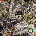 Island Kush AA - Image 2