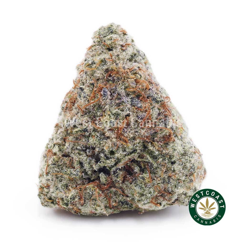Island Sweet Skunk AAA - Image 1