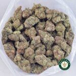 Island Sweet Skunk AAA - Image 3