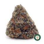 Kush Mintz AAA