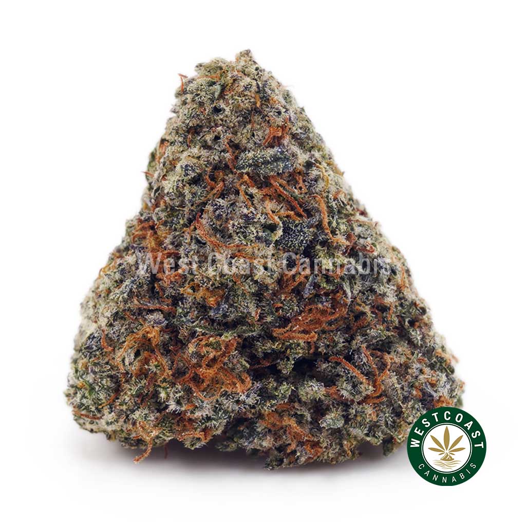 Kush Mintz AAA - Image 1