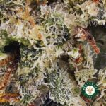 Lemon Haze AAA - Image 2