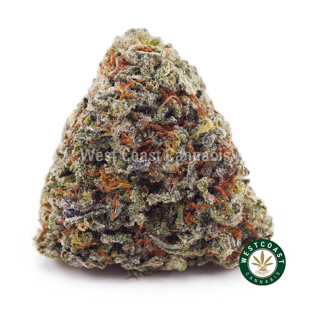 Lemon Stomper AAAA - Image 1