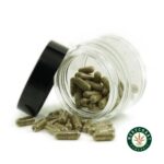 Shrooms Microdosing Capsules - Image 2