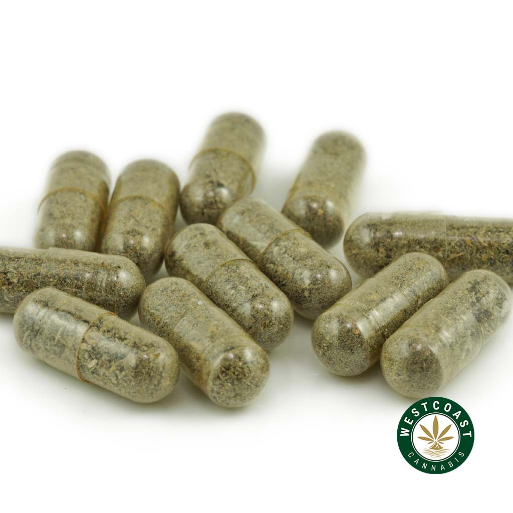 Shrooms Microdosing Capsules - Image 1