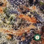 Maui Wowie AA - Image 2