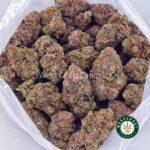 Mimosa Bomb AA - Image 3