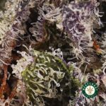 NYC Diesel AAAA - Image 2