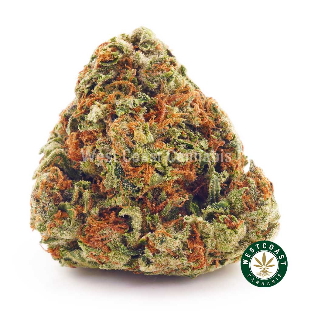 Free Gram - Image 1