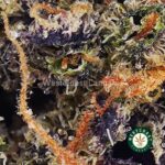 Pineapple Godbud AAAA - Image 2