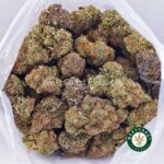 Pineapple Godbud AAAA - Image 3