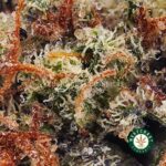 Pink Candy Kush AA - Image 2