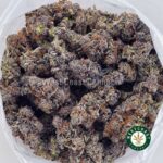 Purple Freeze AAAA+ - Image 3