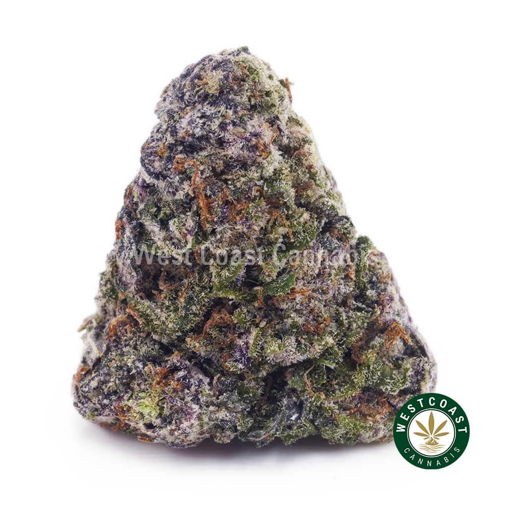 Purple Kush AA - Image 1