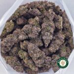 Purple Kush AA - Image 3