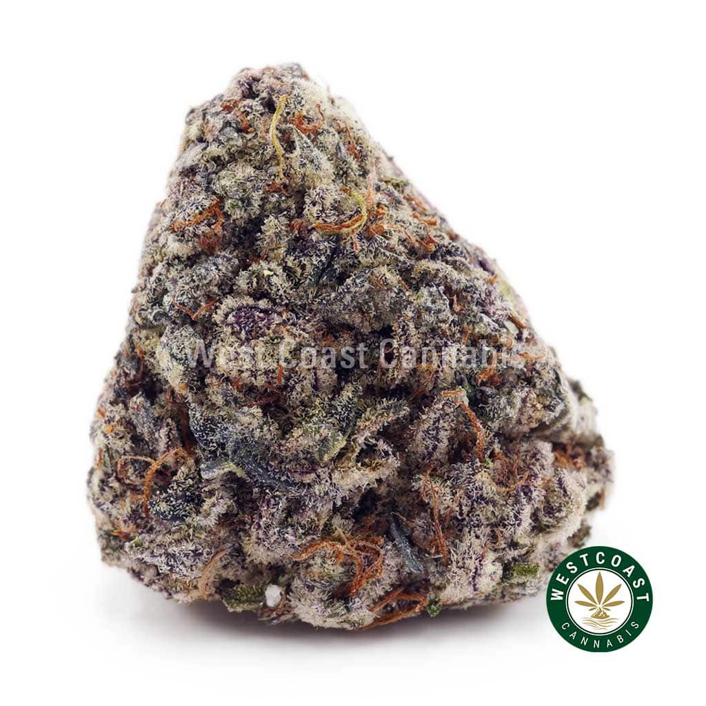 Purple OG AAA - Image 1