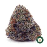 Purple Punch AAAA
