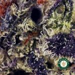 Purple Punch AAAA - Image 2