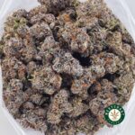 Purple Trainwreck AAAA - Image 3